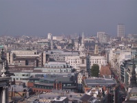 IMG_0037.jpg