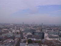 STF_0048.jpg
