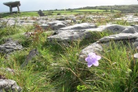 DSCN0565.JPG