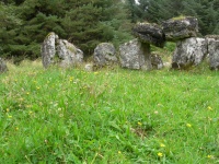 DSCN0704.JPG