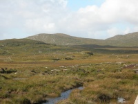 DSCN0607.JPG