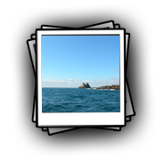whale_watching