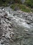 IMG_2005.jpg
