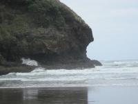 IMG_1421.jpg