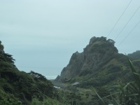 IMG_1465.jpg