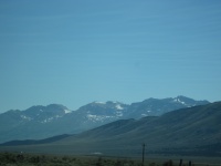 IMG_0204.JPG