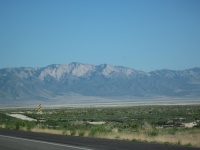 IMG_0221.JPG