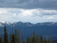 IMG_0523.jpg