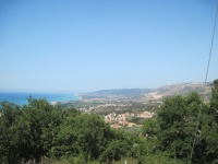 IMG_3524.jpg