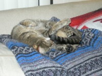 DSCN2354.JPG